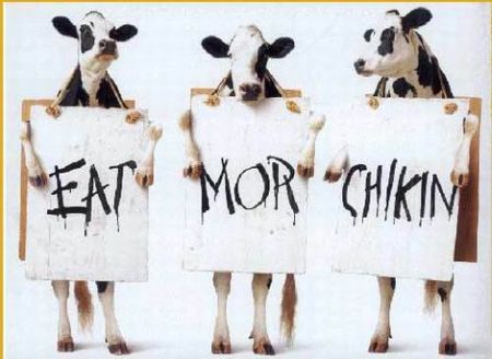 Trīs govis ar plakātiem: Eat, mor un chikin