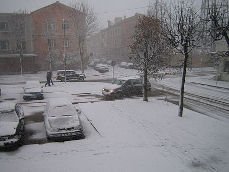 Sniegotā Jelgava