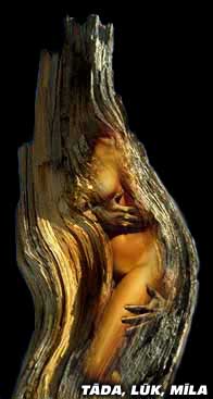 /=-- Tāda, lūk, mīla --=/