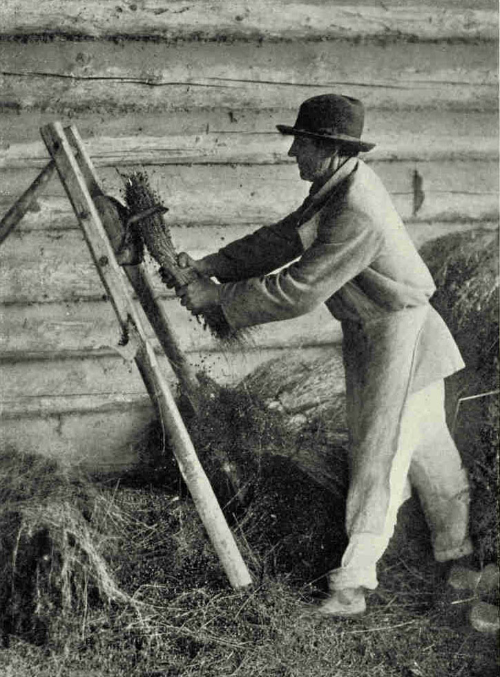 Preparing His Flax for MarketTrade in Latvian flax is a Government monopoly. England, France and Belgium are the chief customers.Photograph by J. Reeksta