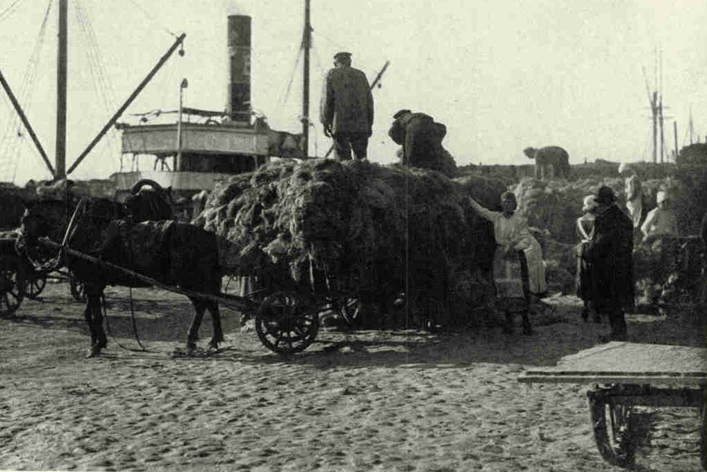 Shipping Flax from RigaPhotograph by Klio