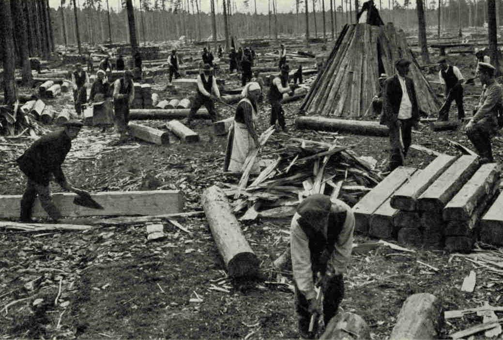 Preparing Latvian Timber for MarketA fourth of the area of Latvia is forest-clad. Sawn timber, furniture, paper, matches, wood distillates, and agricultural implements are exported.Photograph by Klio