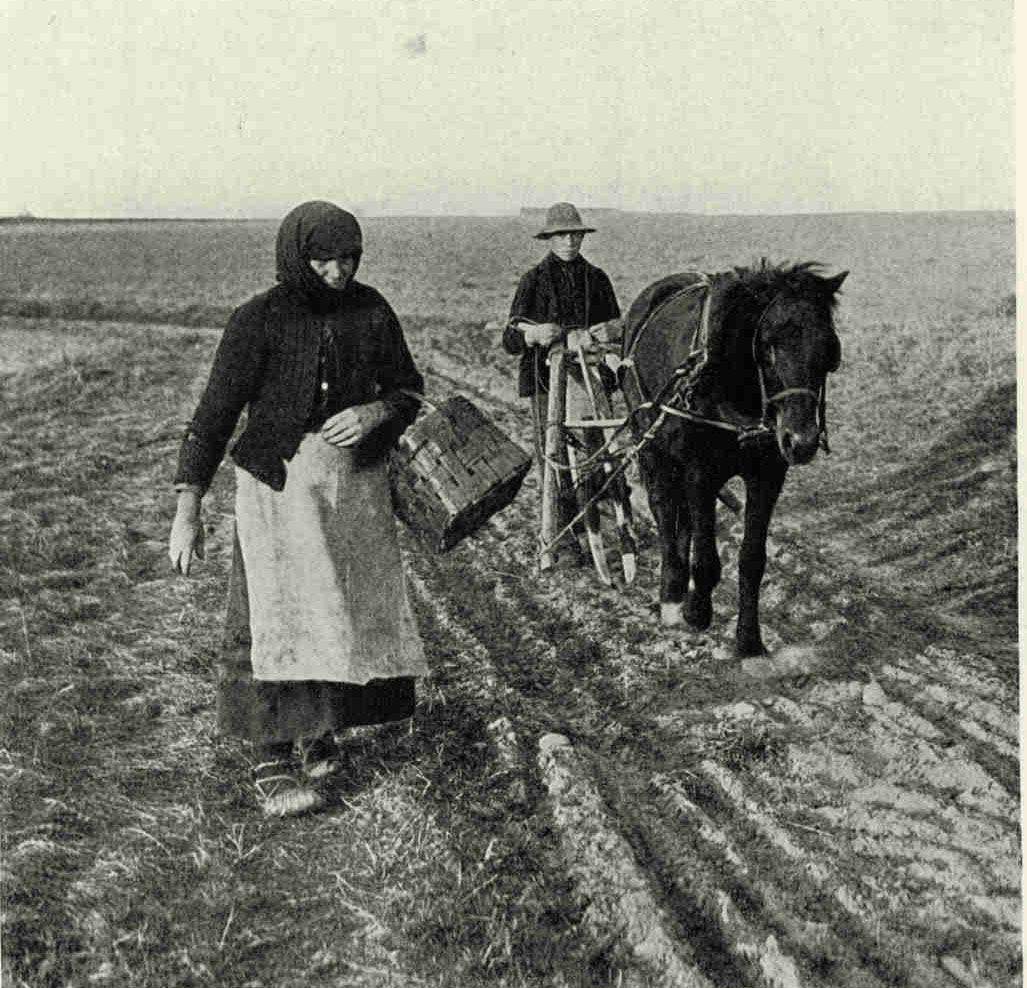 A Primitive Wooden Plow is Still Used by Some Latvian FarmersDespite the adverse conditions under which the peasants worked before the World War, Latvia was a land of prosperous farms and modern dairying establishments. It was often spoken of as the "Denmark of Russia" because of the productivity of its land and the richness of its butter and cheese. Now the independent land-owners are saving their santimes and buying tractors and motor plows, which were practically unknown here in prewar days.Photograph by Ernest Peterfly