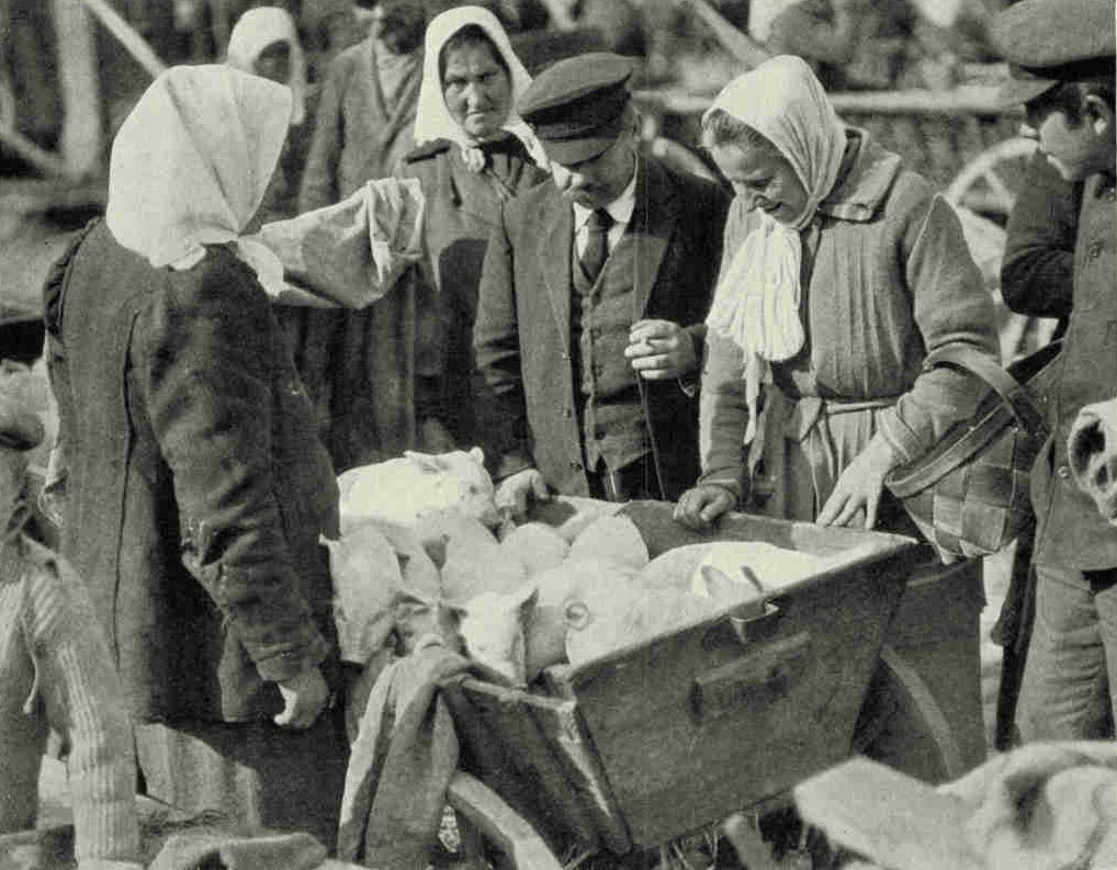 These Little Pigs Went to The Liepaja Market in A Wagon Drawn by A WomanPhotograph by Maynard Owen Williams