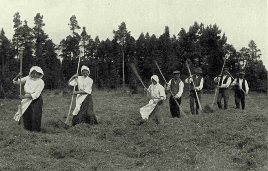 The HaymakersAgriculture is the economic backbone of Latvia, and the favorite proverb of the Lett is, "He who cares for the land will be fed by the land." The curious hay-turning implement wielded by some of the workers is peculiarly Latvian and resembles a double-bladed oar. Photograph by J. Reeksta