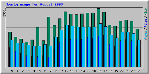 Hourly usage for August 2008